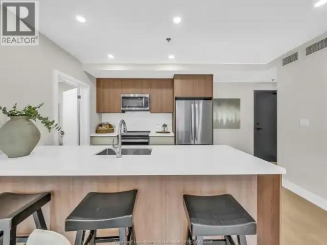 For Rent 2 Bedroom Apartment Windsor ON DS102204336