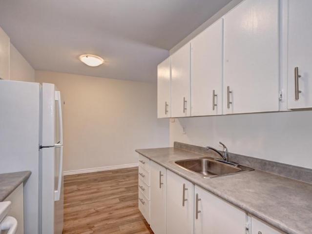 For Rent 2 Bedroom Apartment Woodstock ON DS97029015
