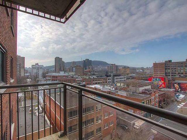 For Rent 2 Bedroom Shared Living/roommate Montréal QC DS96648782