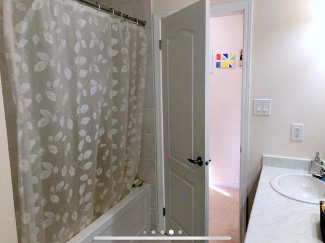 For Rent 2 Bedroom Shared Living/roommate Brampton ON DS97413437