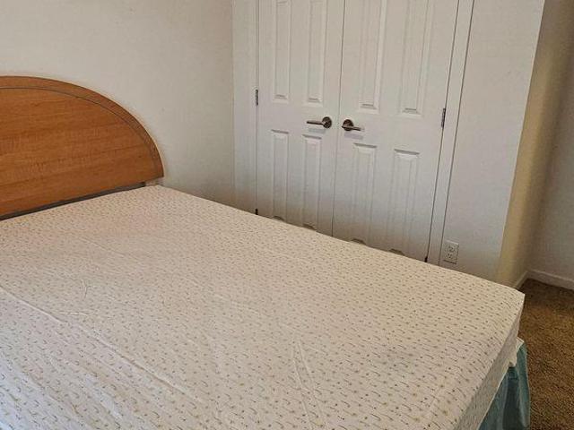 For Rent 2 Bedroom Shared Living/roommate Calgary AB DLS96644640