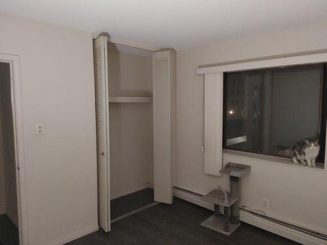 For Rent 2 Bedroom Shared Living/roommate Calgary AB DLS97412723