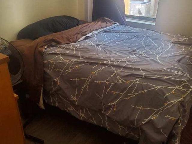 For Rent 2 Bedroom Shared Living/roommate Calgary AB DLS97417015