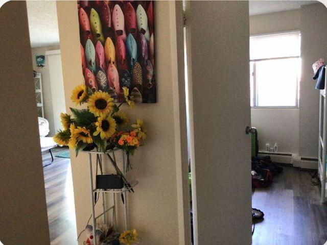 For Rent 2 Bedroom Shared Living/roommate Calgary AB DS97421205