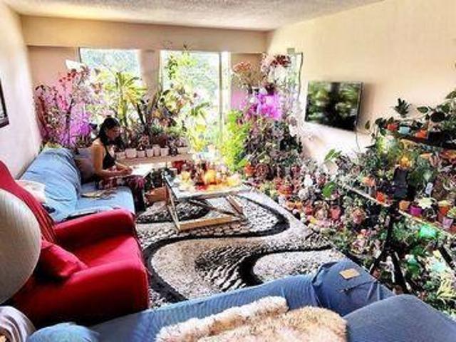 For Rent 2 Bedroom Shared Living/roommate Coquitlam BC DLS91272649