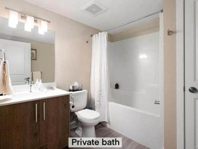 For Rent 2 Bedroom Shared Living/roommate Victoria BC DLS96649228