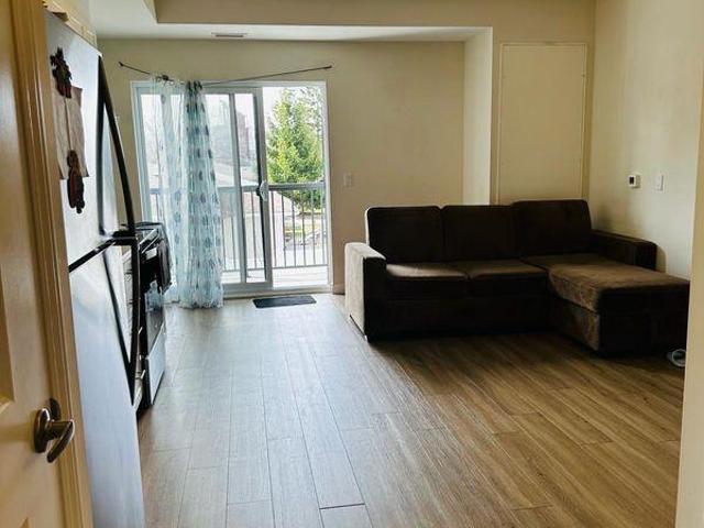 For Rent 2 Bedroom Shared Living/roommate Waterloo ON DS97414046