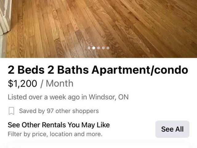 For Rent 2 Bedroom Shared Living/roommate Windsor ON DS96647262