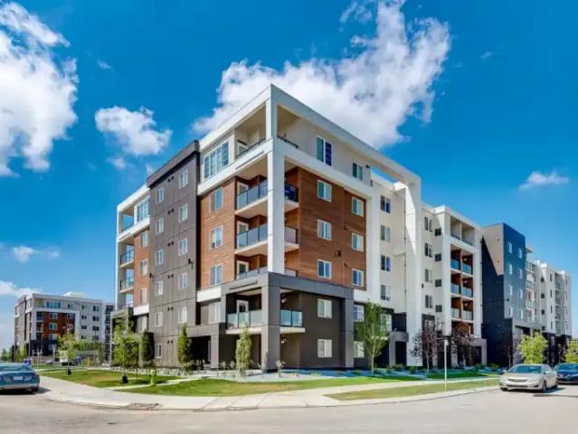 For Rent 2.5 Bedroom Apartment Calgary AB DS102794688