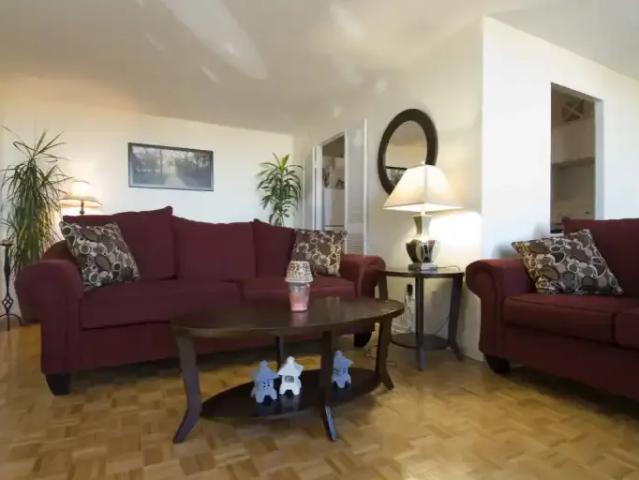 For Rent 3 Bedroom Apartment Brampton ON DLS103090440