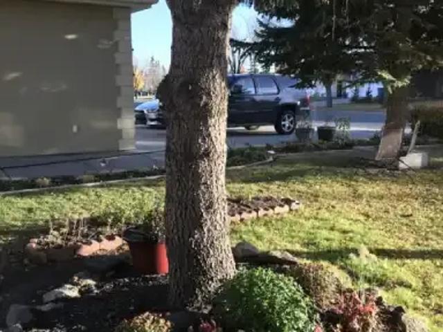 For Rent 3 Bedroom Apartment Calgary AB DS100119799