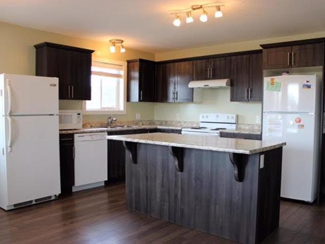 For Rent 3 Bedroom Apartment Cold Lake AB DS104433678