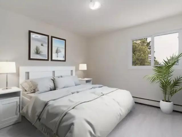 For Rent 3 Bedroom Apartment Edmonton AB DLS100757363