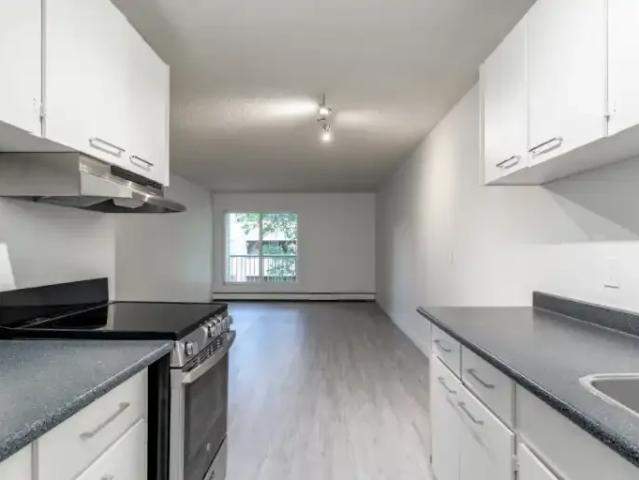 For Rent 3 Bedroom Apartment Edmonton AB DLS102845095