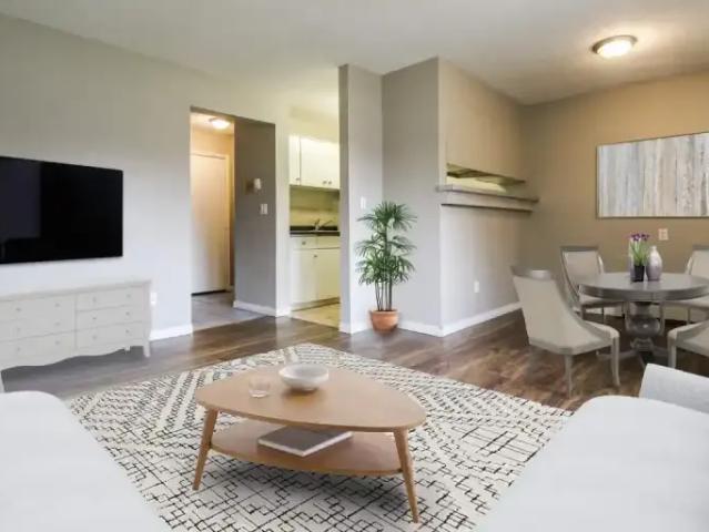 For Rent 3 Bedroom Apartment Edmonton AB DLS98784831
