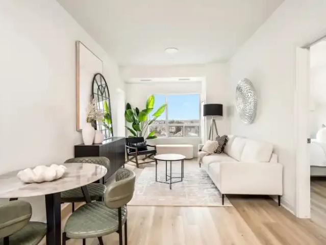 For Rent 3 Bedroom Apartment Hamilton ON DLS102052192