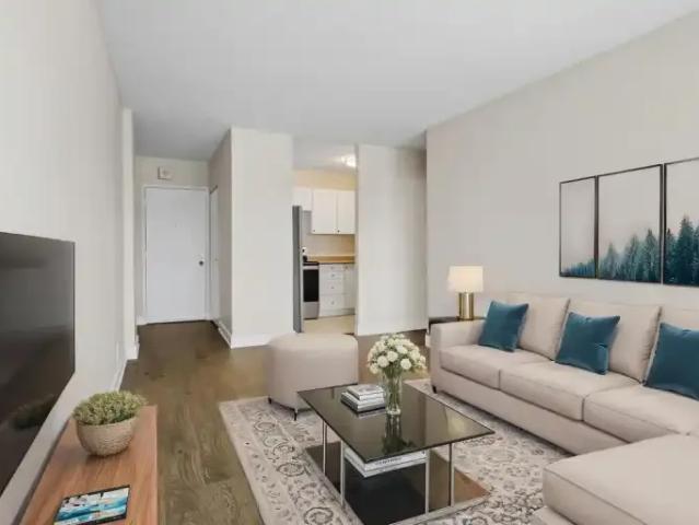 For Rent 3 Bedroom Apartment Kingston ON DLS102770509