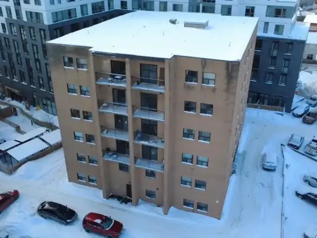 For Rent 3 Bedroom Apartment Kingston ON DLS99719599