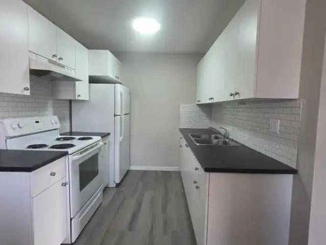 For Rent 3 Bedroom Apartment Red Deer AB DLS100563915