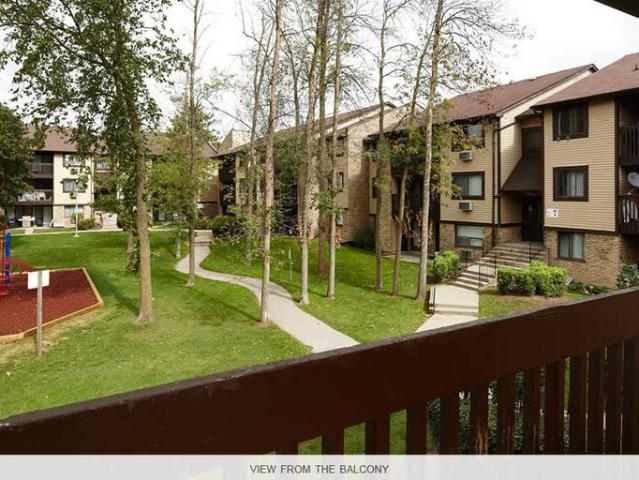 For Rent 3 Bedroom Apartment Scarborough ON DS96585938