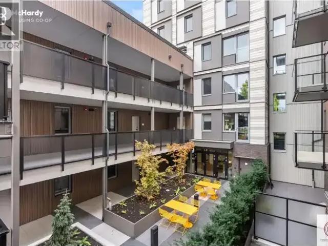 For Rent 3 Bedroom Apartment Vancouver BC DS100527438