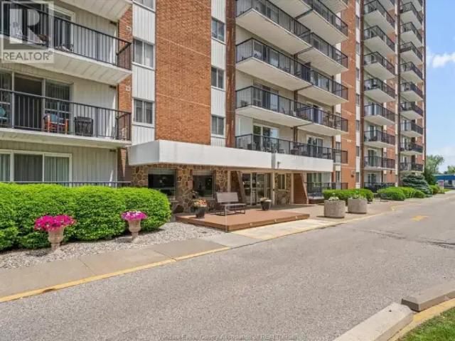 For Rent 3 Bedroom Apartment Windsor ON DS101878656