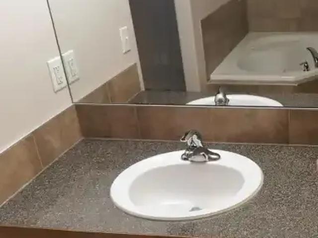 For Rent 3 Bedroom House Calgary AB DLS100708126