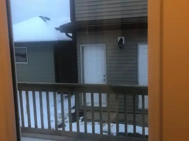 For Rent 3 Bedroom House Edmonton AB DS102752187