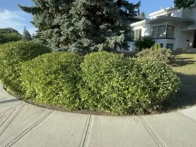For Rent 3 Bedroom House Edmonton AB DS104957331