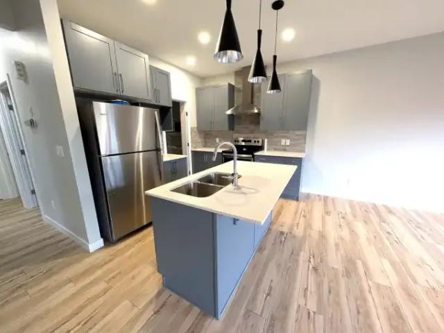 For Rent 3 Bedroom House Edmonton AB DS105378101