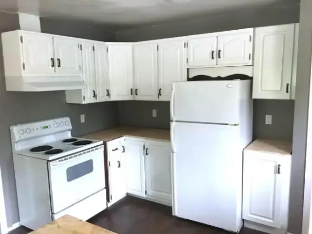 For Rent 3 Bedroom House London ON DS105071848
