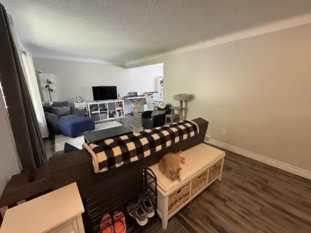 For Rent 3 Bedroom House St. Catharines ON DS105185857