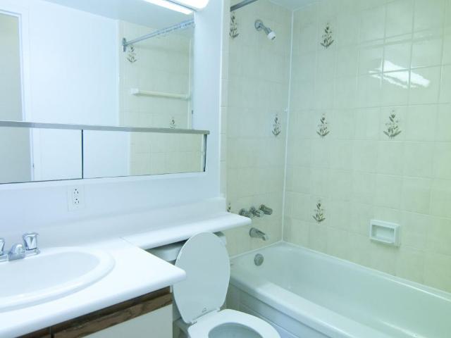 For Rent 3 Bedroom Multi Family Toronto ON DLS11052075