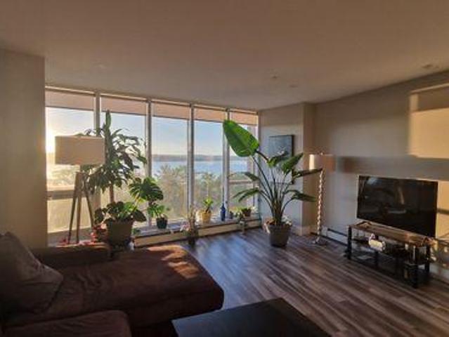 For Rent 3 Bedroom Shared Living/roommate Halifax NS DS96645166