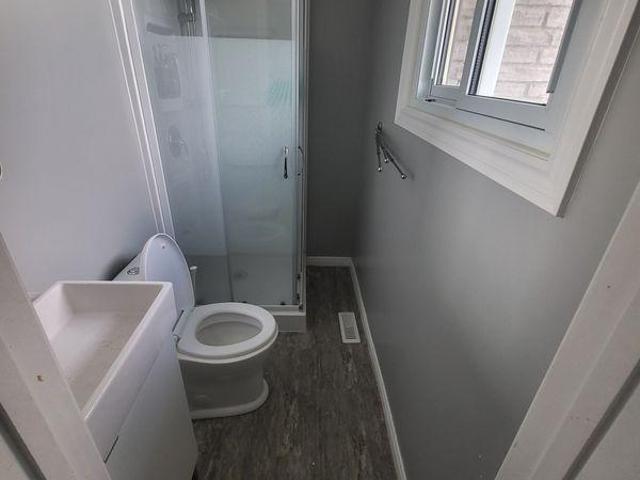 For Rent 3 Bedroom Shared Living/roommate Kingston ON DLS97414361