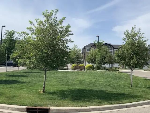 For Rent 3 Bedroom Townhouse Calgary AB DS104433770