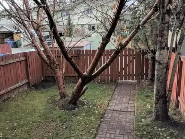 For Rent 3 Bedroom Townhouse Calgary AB DS104824537