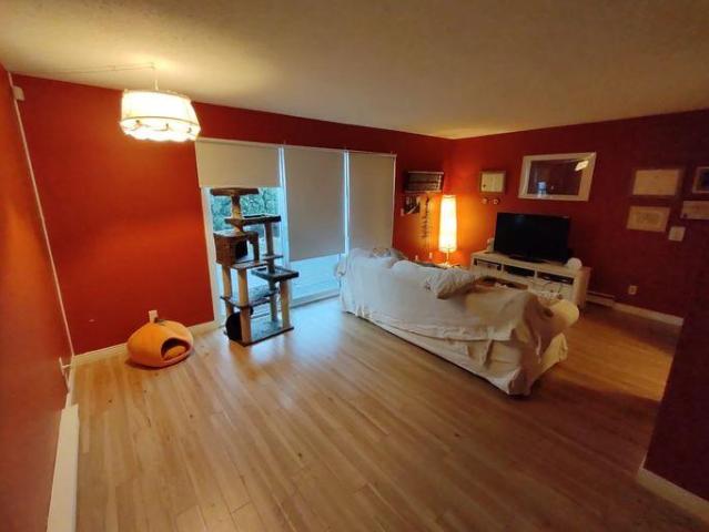 For Rent 3 Bedroom Townhouse Chilliwack BC DS103151289