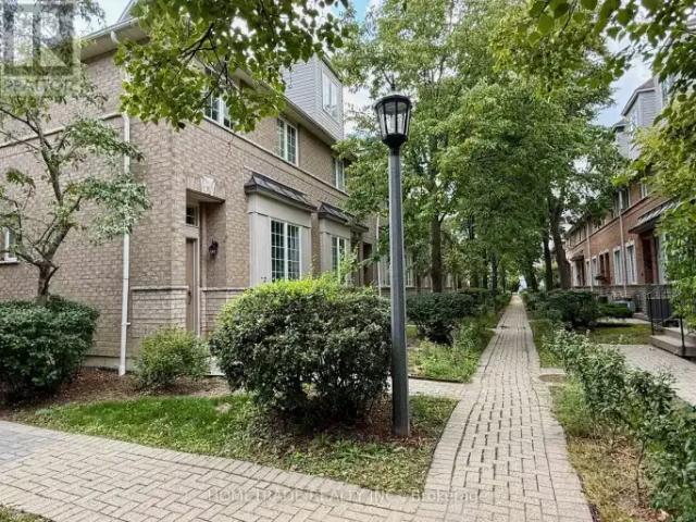 For Rent 3 Bedroom Townhouse Richmond Hill ON DS104972891