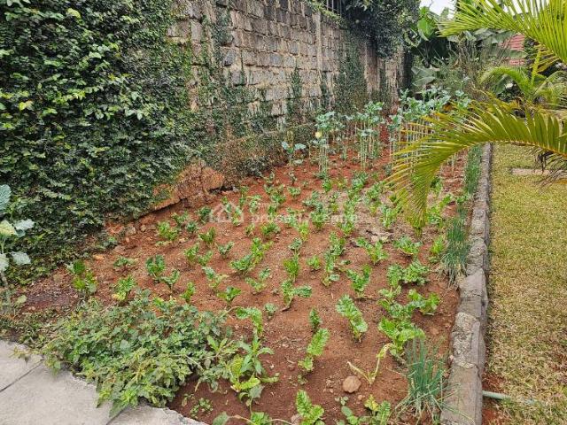 For Rent: All Ensuite 5 Bedrooms On A Half An Acre, Muthaiga, Nairobi | 5 Beds, 5 Baths Ref: 33972 Kenya Property Centre KPC