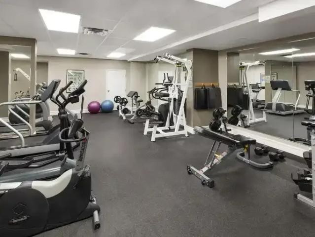 For Rent Apartment Calgary AB DS102143625