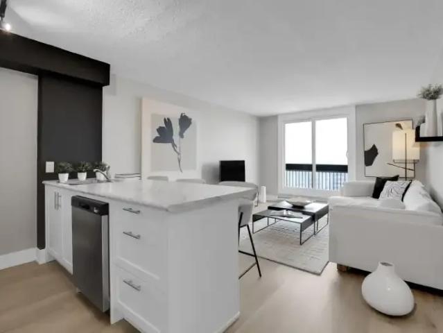 For Rent Apartment Ottawa ON DS100708034