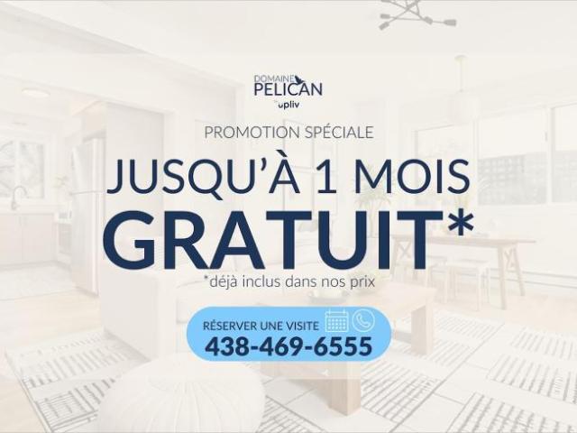 For Rent Apartment Montréal QC DLS98315054