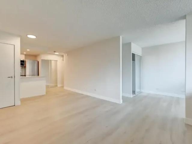 For Rent Apartment Montreal QC DS94297607