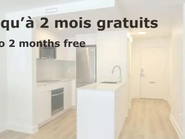 For Rent Apartment Montreal QC DS104178500