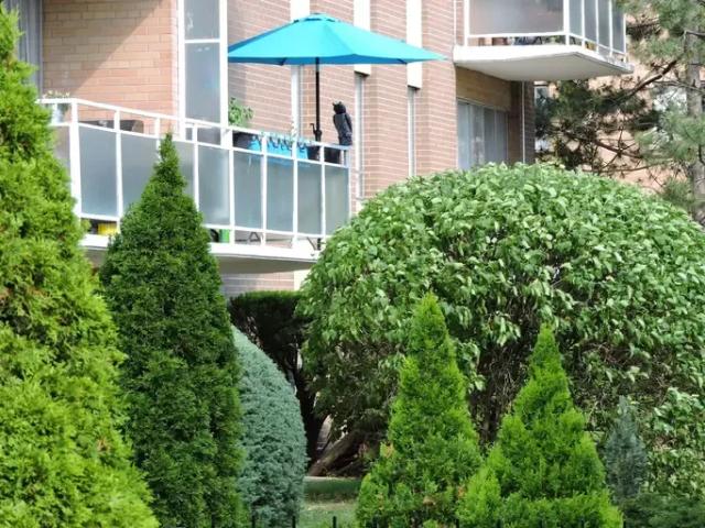 For Rent Apartment Mississauga ON DS102770742