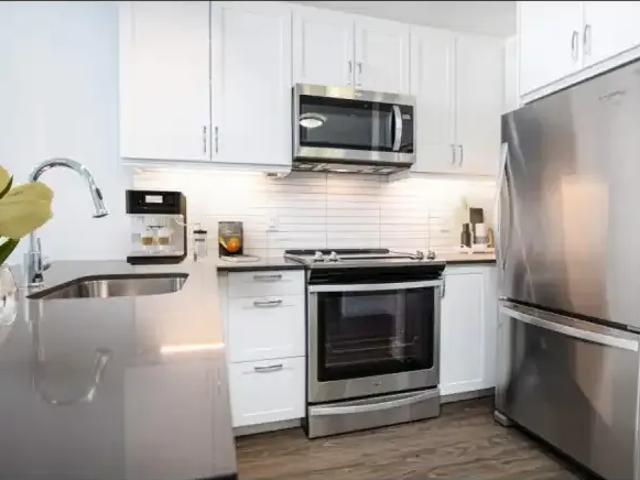 For Rent Apartment North York ON DS103650720