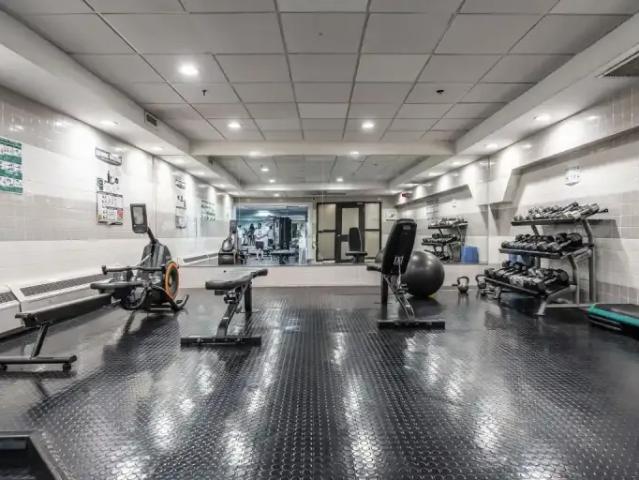 For Rent Apartment Toronto ON DLS98462984