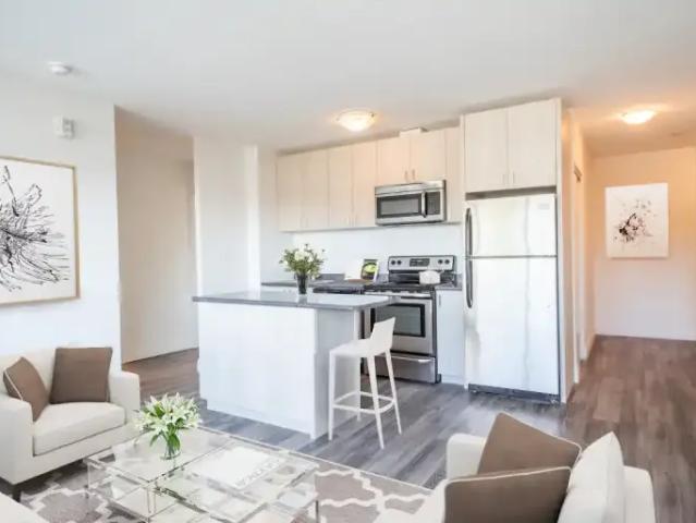 For Rent Apartment Toronto ON DLS102518194