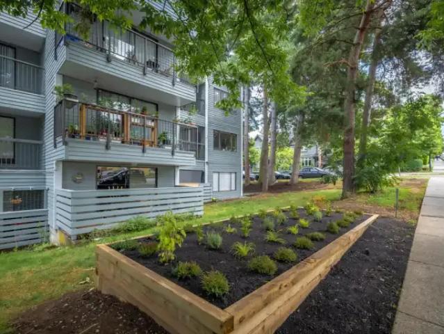 For Rent Apartment Vancouver BC DS97906821